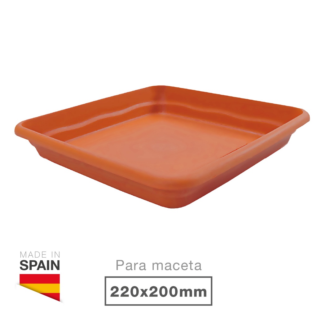 Soucoupe de pot carré de fleurs Terra 220mm Marron