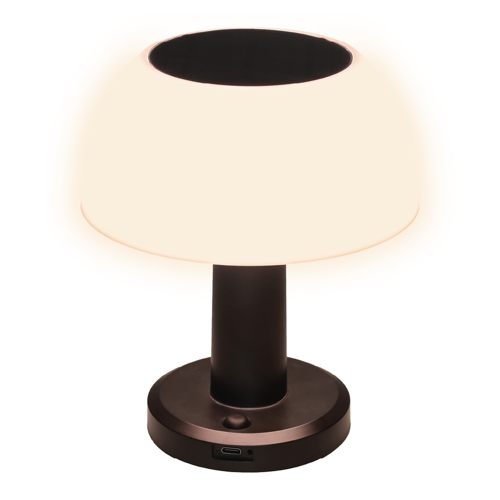 Lampe solaire LED Urgani rechargeable USB RGB