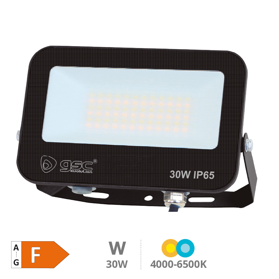 Bassarel aluminum LED floodlight 30W 4000 - 5000 - 6500K IP65 Black