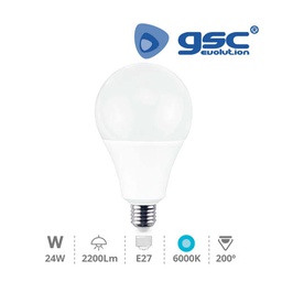 [002004865] Lampara globo LED 24W E27 6000K