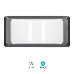 [200205044] Anthe LED wall sconce 11W 6500K IP65 Anthracite gray